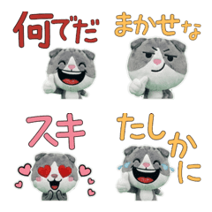 Plush Scottish Fold  9th