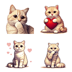 ภาพพิกเซลบอกเล่าเรื่องราวของแมวลายสีครีม