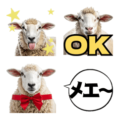 Fluffy Sheep Greetings