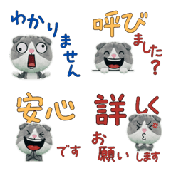 สกอตติชโฟลด์ สุภาพ  11th