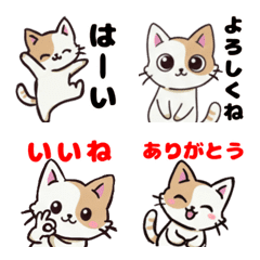 Expressive cat cute cat emoji