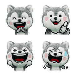 มาลามิวท์ ขยับ  8th