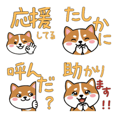 Corgi Cardigan  22nd