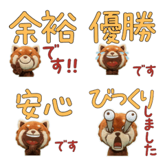 Polite Red Panda  11th