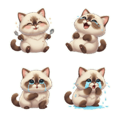 냥냥 캣 너무 놀라서 손을 먹어!