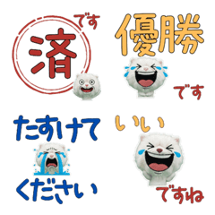 Moving Polite Persian  12th