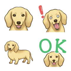 Dachshund (Smooth/Cream)