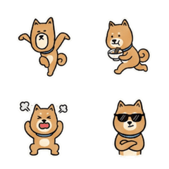 柴犬：暴走情緒 機智應對