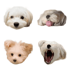 OYAKI Emoji vol.1