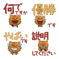 Polite Brown Tabby  11th