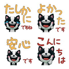 Polite Boston Terrier  11th