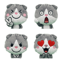 Plush Scottish Fold  7th