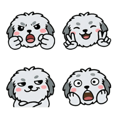 Old English Sheepdog  19th