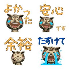 Plush Horned Owl  9th