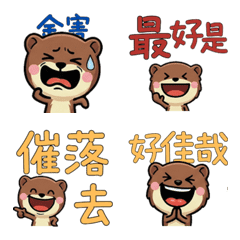 Taiwanese Weasel  32nd