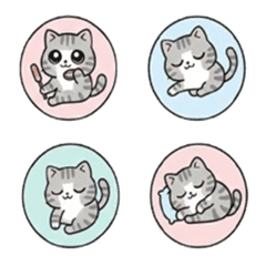 まるちょ風アメリカンショートヘア絵文字