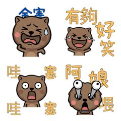 Taiwanese Wombat  32nd