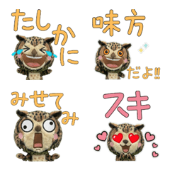 Moving Plush Horned Owl  10th