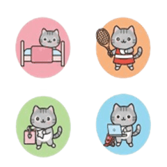 まるちょ風マンチカン　平凡な一日