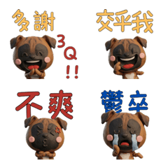 Moving Taiwanese Boxer  40