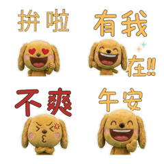 Moving Taiwanese Cocker  34