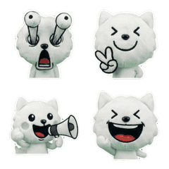 Moving Japanese Spitz  8th