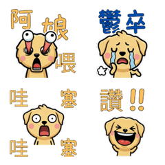 Taiwanese Yellow Lab  32nd