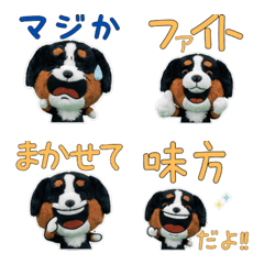 Moving Plush Bernese Mountain  10