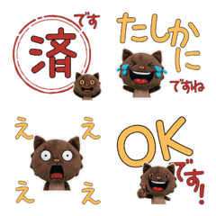 Polite Burmese Cat  11