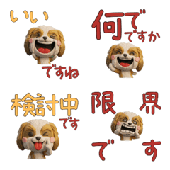 Polite 3D Shih Tzu  29