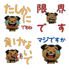 Polite Airedale Terrier  11