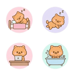 まるちょ風柴犬の一日