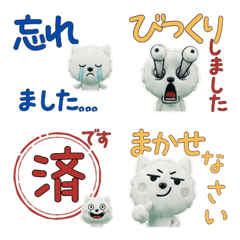 Moving Polite Japanese Spitz  12
