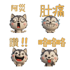 Moving Taiwanese Malamute  40