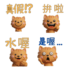 Taiwanese Red Tabby  39