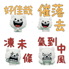 Taiwanese Japanese Spitz  33