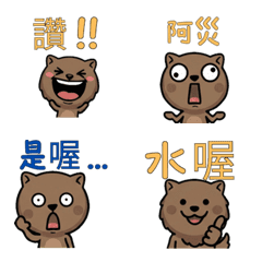 Taiwanese Wombat  31st