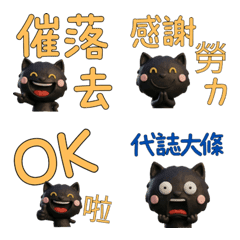 Taiwanese Bombay Cat  39