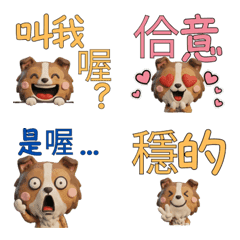 Taiwanese Collie  39