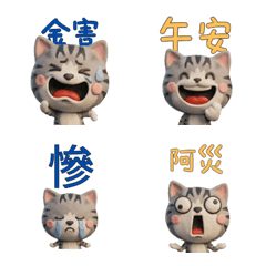 Taiwanese Silver Tabby  39