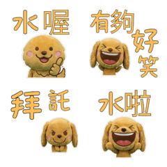 Taiwanese Cocker Spaniel  33