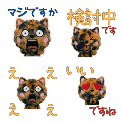 Polite Tortoiseshell Cat  11