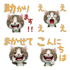 Plush Siberian Cat  9th