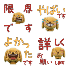 Moving Polite Cocker Spaniel  12