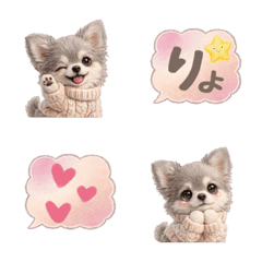 Fluffy Ash Chihuahua & Speech Bubbles