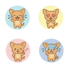 まるちょ風ちわわ　泣いたり笑ったり