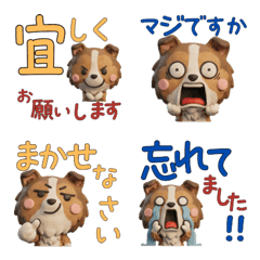 Polite 3D Collie  29