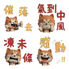 Moving Taiwanese Akita Inu  40