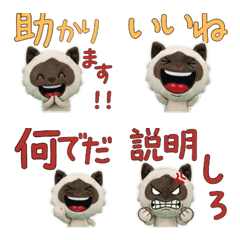 Moving Plush Ragdoll  10th