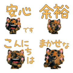 Moving Plush Tortoiseshell  10